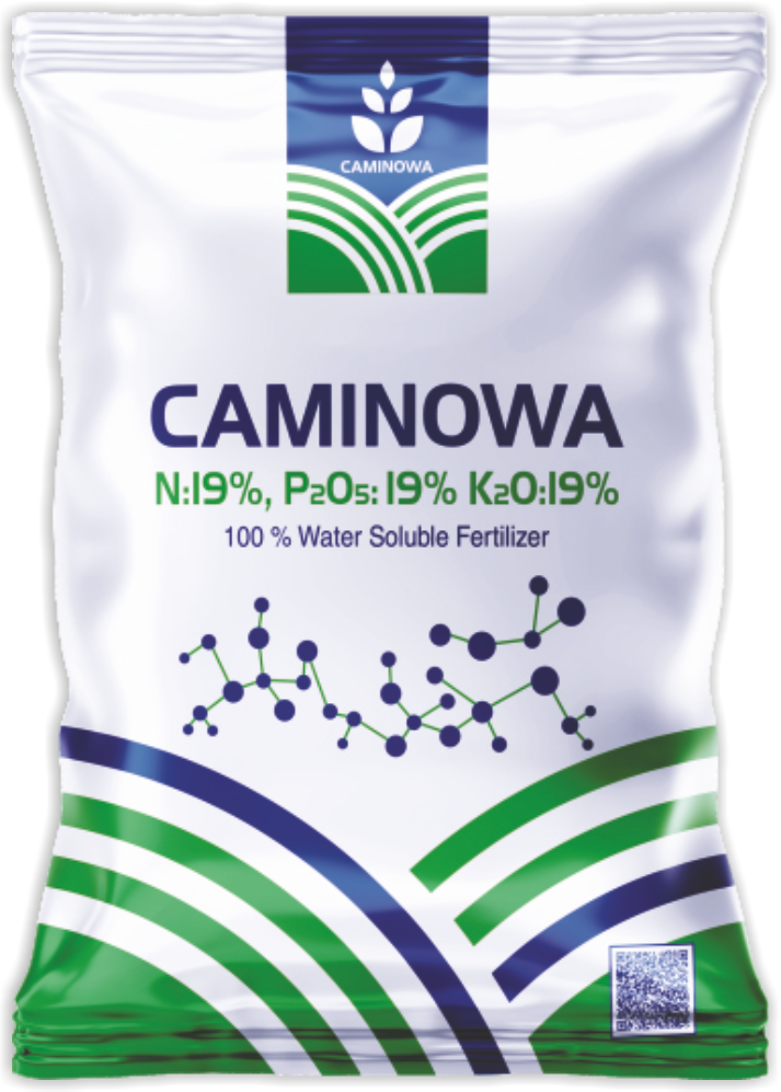 CAMINOWA N:19% P₂O₅:19% K₂O:19%