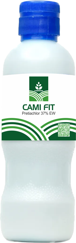 CAMIFIT
