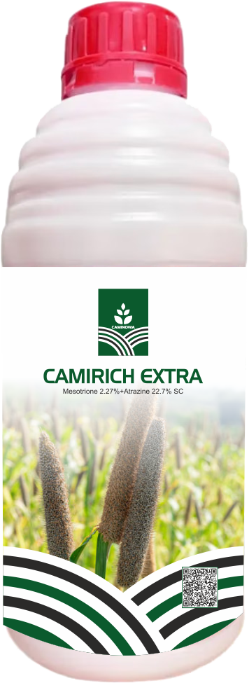 CAMIRICH EXTRA