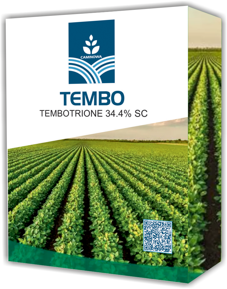 TEMBO