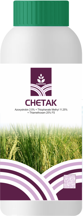 CHETAK