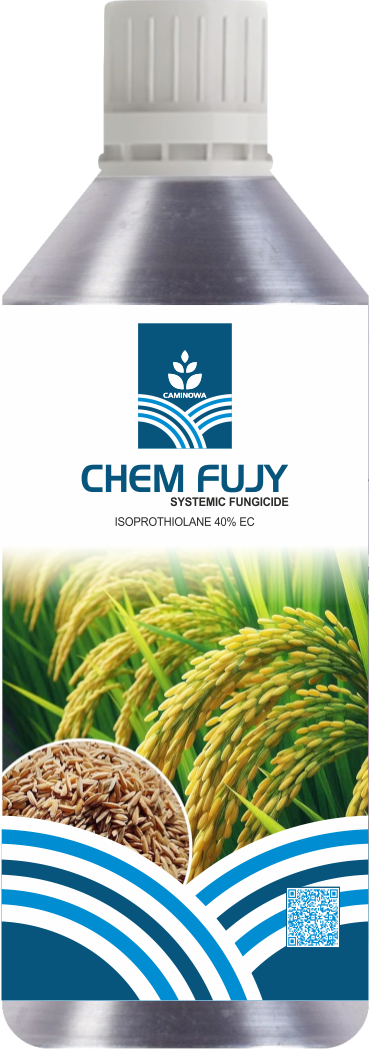 CHEM FUJY