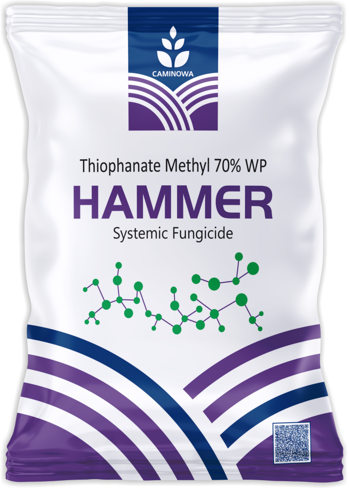 HAMMER