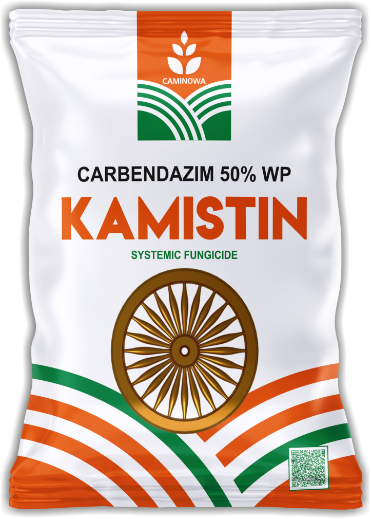 KAMISTIN