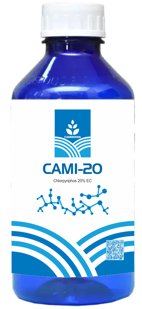 CAMI-20