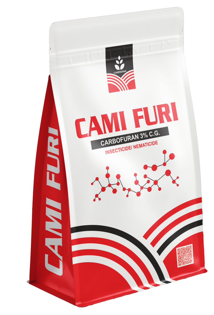 CAMI FURI
