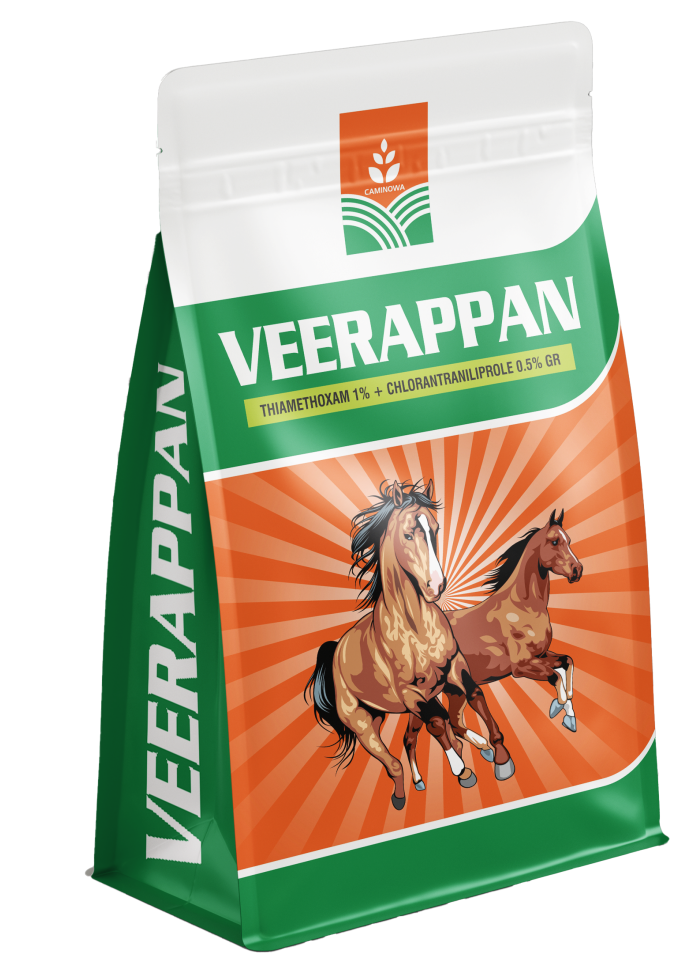 VEERAPPAN