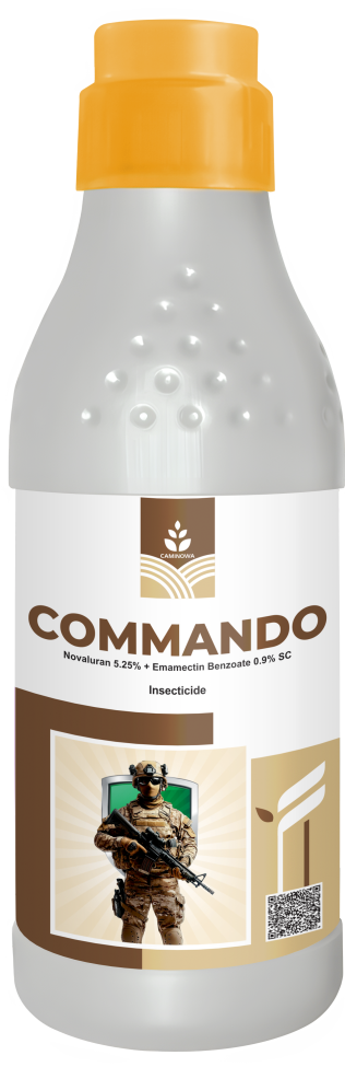 COMMANDO