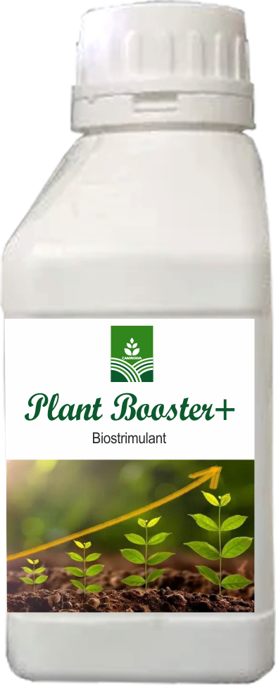 PLANT BOOSTER+